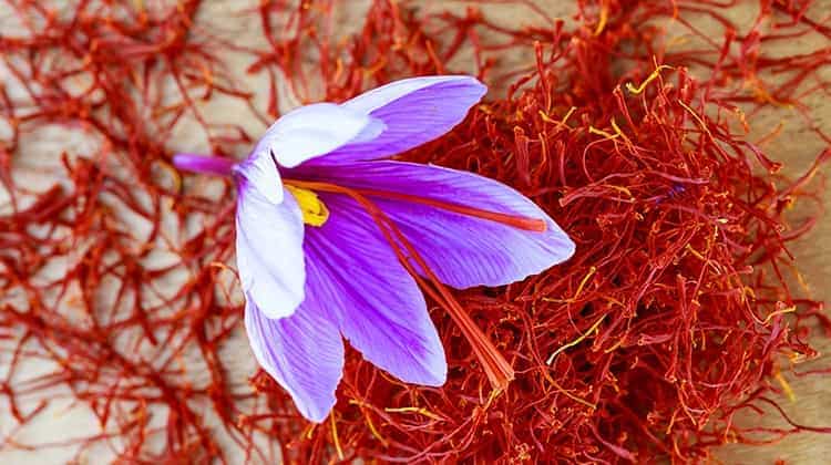 تصویر 1 از قیمت خرید زعفران سرگل؛ انتخاب اول خریداران حرفه‌ ای و صنایع غذایی 1 گرمی با فروش عمده